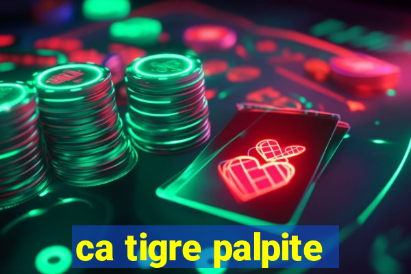 ca tigre palpite