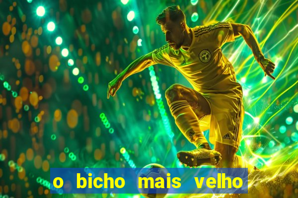 o bicho mais velho da loteria dos sonhos