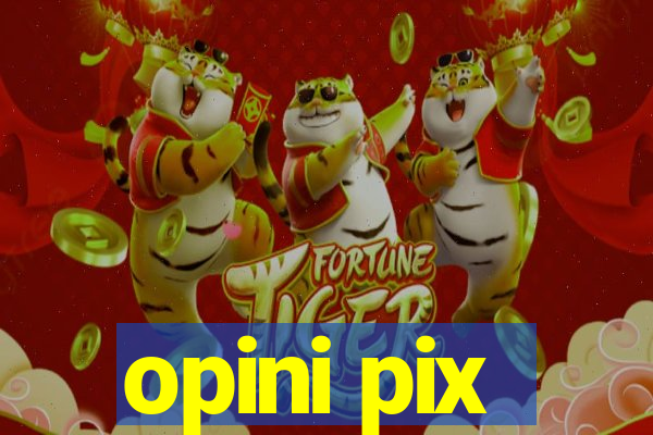 opini pix