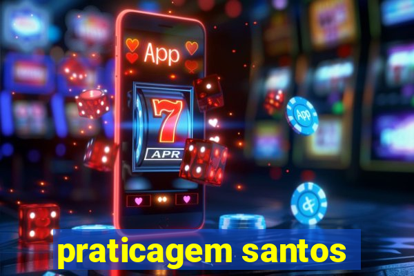 praticagem santos