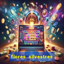 flores silvestres desbravadores desbravadores 25