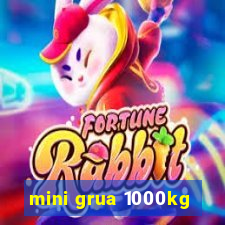 mini grua 1000kg