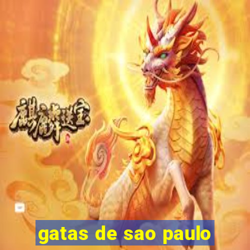 gatas de sao paulo