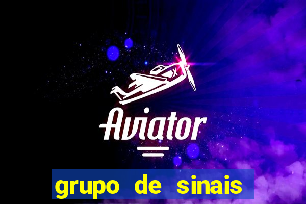 grupo de sinais fortune rabbit