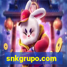 snkgrupo.com