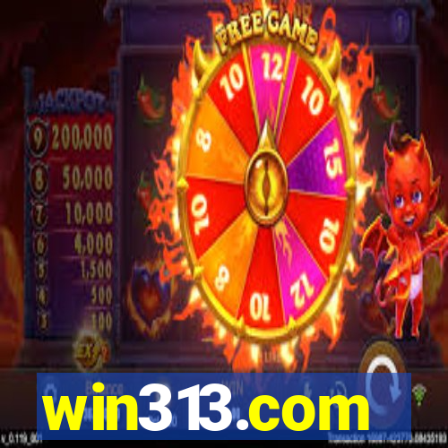 win313.com