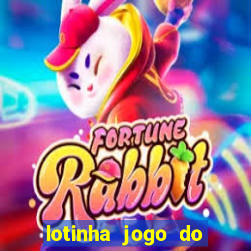 lotinha jogo do bicho como funciona