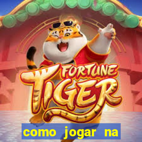 como jogar na lotinha do jogo do bicho